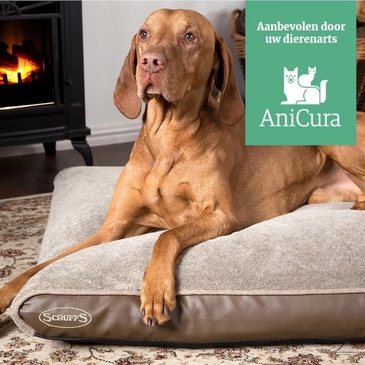 Scruffs Chateau - Hondenbed Orthopedisch Met Memory Foam Voor Extra Steun Voor Rug En Gewrichten - Grijs & Bruin Maat M/L - Kleur: Grijs, Maat: Large 21 Scruffs Chateau - Hondenbed Orthopedisch Met Memory Foam Voor Extra Steun Voor Rug En Gewrichten - Grijs & Bruin Maat M/L - Kleur: Grijs, Maat: Large - Afbeelding 19