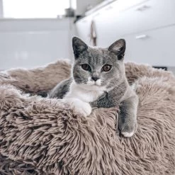 District 70 FUZZ - Hondenmand Comfortabel En Zacht Pluche - Zand, Oudroze, Donkergrijs En Lichtgrijs In S/M/L/XL - Maat: Large, Kleur: Zand -Hondenbenodigdheden 1200x1200 1461