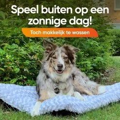 Happysnoots Hondenkussen 70 X 50cm - Hondenbed - Donut Dog Bed - Fluffy - Grijs - Wasbaar -Hondenbenodigdheden 1200x1200 1471