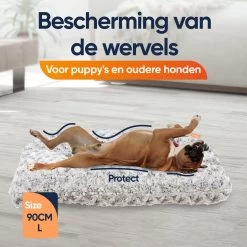 Happysnoots Hondenkussen 70 X 50cm - Hondenbed - Donut Dog Bed - Fluffy - Grijs - Wasbaar -Hondenbenodigdheden 1200x1200 1476