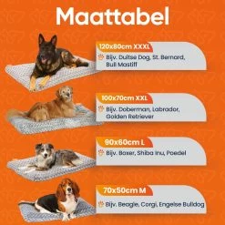 Happysnoots Hondenkussen 70 X 50cm - Hondenbed - Donut Dog Bed - Fluffy - Grijs - Wasbaar -Hondenbenodigdheden 1200x1200 1482