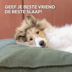 Snoozle Orthopedische Hondenmand - Zacht En Luxe Hondenkussen - Hondenbed - Wasbaar - Hondenmanden - 100 X 70 Cm - Groen -Hondenbenodigdheden 1200x1200 1497