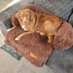 Origineel Hondendeken Voor Bank– Hondenkleed Fluffy – Pluche Hondenbed - Hondenmand Premium - Volledig Afritsbaar 18 Origineel Hondendeken Voor Bank– Hondenkleed Fluffy – Pluche Hondenbed - Hondenmand Premium - Volledig Afritsbaar -Hondenbenodigdheden 1200x1200 1513