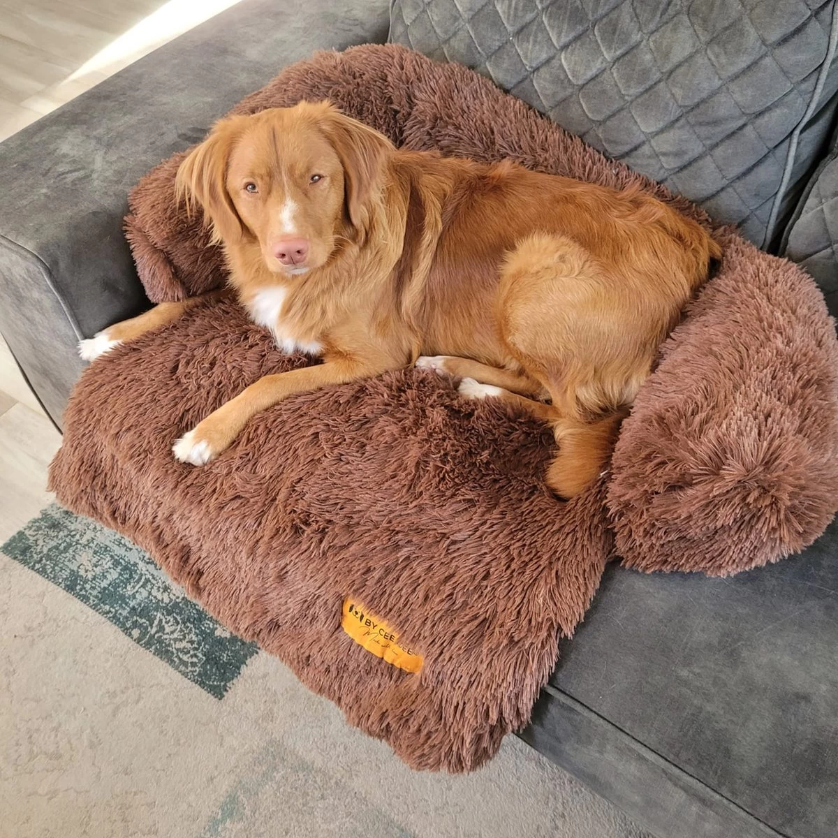 Origineel Hondendeken Voor Bank– Hondenkleed Fluffy – Pluche Hondenbed - Hondenmand Premium - Volledig Afritsbaar 10 Origineel Hondendeken Voor Bank– Hondenkleed Fluffy – Pluche Hondenbed - Hondenmand Premium - Volledig Afritsbaar - Afbeelding 8