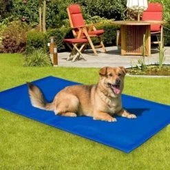 Koeling Mat Voor Huisdieren - 60 X 80 Cm 10 Koeling Mat Voor Huisdieren - 60 X 80 Cm -Hondenbenodigdheden 1200x1200 1541