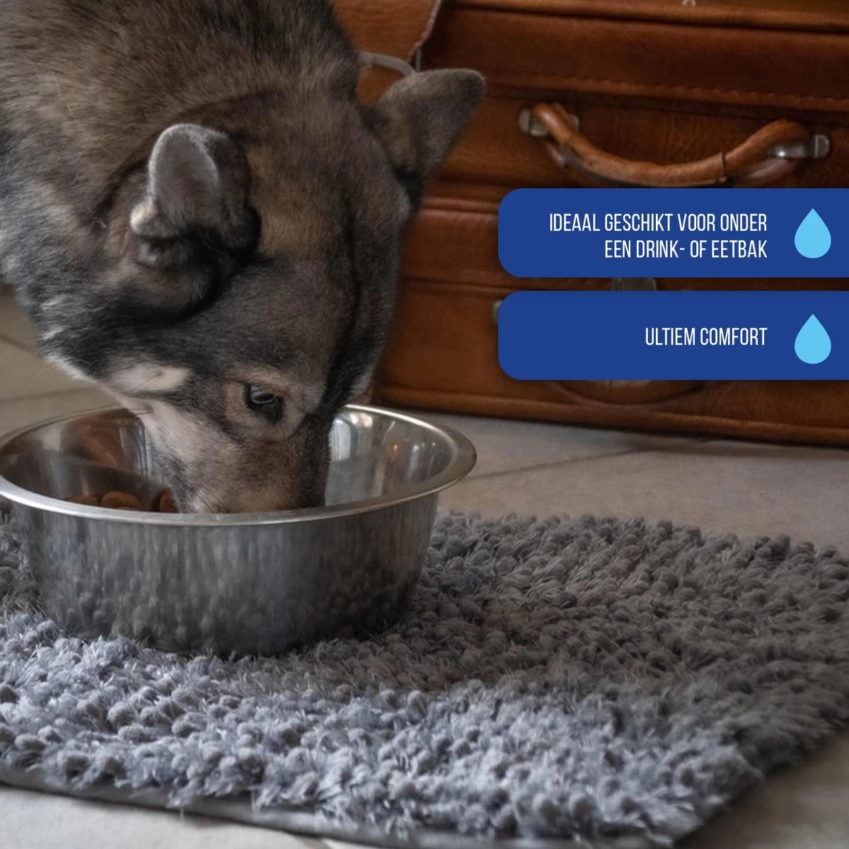 Royal Dry Absorberende Anti-knoeimat Voor Honden – Trekt Vuil Als Een Spons – Laat Geen Vocht Door – 61x45 Cm – Microfiber Chenille – Geschikt Voor Honden En Overige Huisdieren 8 Royal Dry Absorberende Anti-knoeimat Voor Honden – Trekt Vuil Als Een Spons – Laat Geen Vocht Door – 61x45 Cm – Microfiber Chenille – Geschikt Voor Honden En Overige Huisdieren - Afbeelding 6