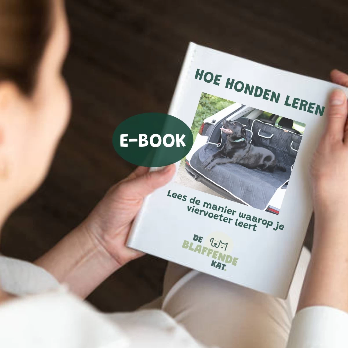 De Blaffende Kat Wasdrogerbollen - Droger Ballen - Huisdier Haarverwijderaar - 4 Wasbollen Voor Wasmachine En Droger 5 De Blaffende Kat Wasdrogerbollen - Droger Ballen - Huisdier Haarverwijderaar - 4 Wasbollen Voor Wasmachine En Droger - Afbeelding 3