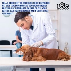 Nola & Coco® Tandsteen Verwijderaar Set Inclusief Bewaardoosje - Tandenkrabber - Set Van Twee - Hond - Kat - Tandenborstel - Tandplak Verwijderen - Tandenstoker - Honden Tanden Schoonmaken - Tandenhaakje - Gebitsreiniging 11 Nola & Coco® Tandsteen Verwijderaar Set Inclusief Bewaardoosje - Tandenkrabber - Set Van Twee - Hond - Kat - Tandenborstel - Tandplak Verwijderen - Tandenstoker - Honden Tanden Schoonmaken - Tandenhaakje - Gebitsreiniging -Hondenbenodigdheden 1200x1200 1618