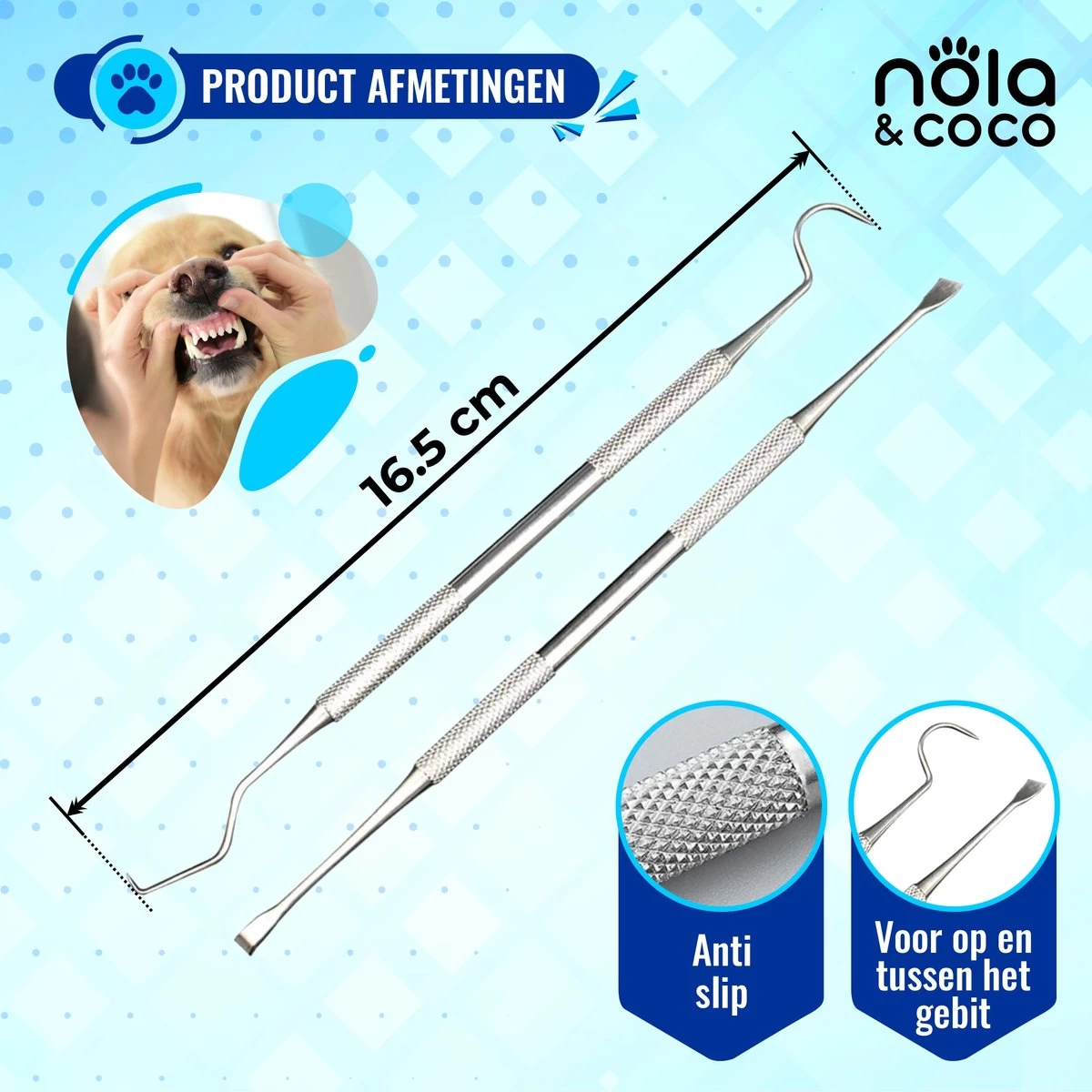 Nola & Coco® Tandsteen Verwijderaar Set Inclusief Bewaardoosje - Tandenkrabber - Set Van Twee - Hond - Kat - Tandenborstel - Tandplak Verwijderen - Tandenstoker - Honden Tanden Schoonmaken - Tandenhaakje - Gebitsreiniging 7 Nola & Coco® Tandsteen Verwijderaar Set Inclusief Bewaardoosje - Tandenkrabber - Set Van Twee - Hond - Kat - Tandenborstel - Tandplak Verwijderen - Tandenstoker - Honden Tanden Schoonmaken - Tandenhaakje - Gebitsreiniging - Afbeelding 5