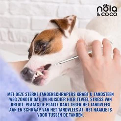 Nola & Coco® Tandsteen Verwijderaar Set Inclusief Bewaardoosje - Tandenkrabber - Set Van Twee - Hond - Kat - Tandenborstel - Tandplak Verwijderen - Tandenstoker - Honden Tanden Schoonmaken - Tandenhaakje - Gebitsreiniging 14 Nola & Coco® Tandsteen Verwijderaar Set Inclusief Bewaardoosje - Tandenkrabber - Set Van Twee - Hond - Kat - Tandenborstel - Tandplak Verwijderen - Tandenstoker - Honden Tanden Schoonmaken - Tandenhaakje - Gebitsreiniging -Hondenbenodigdheden 1200x1200 1621