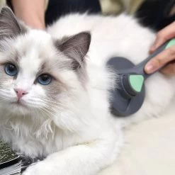 Pakeway Kattenborstel – Hondenborstel – Haarverwijderaar Voor Huisdieren – Kattenkam - Kortharig - Langharig - Inclusief Ebook! -Hondenbenodigdheden 1200x1200 198