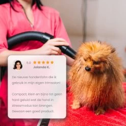 Qumax Professionele Hondenföhn Met 4 Opzetstukken – Waterblazer Voor Honden – Stil Design – Compact En Modern - Zwart 17 Qumax Professionele Hondenföhn Met 4 Opzetstukken – Waterblazer Voor Honden – Stil Design – Compact En Modern - Zwart -Hondenbenodigdheden 1200x1200 289