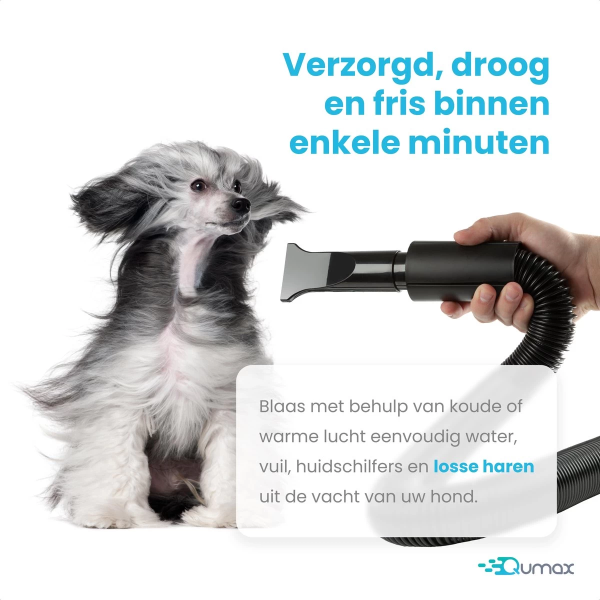 Qumax Professionele Hondenföhn Met 4 Opzetstukken – Waterblazer Voor Honden – Stil Design – Compact En Modern - Zwart 10 Qumax Professionele Hondenföhn Met 4 Opzetstukken – Waterblazer Voor Honden – Stil Design – Compact En Modern - Zwart - Afbeelding 8