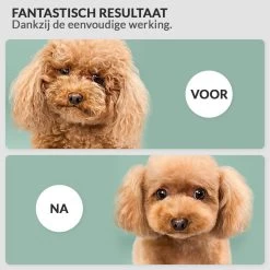 Hondenföhn/Waterblazer - Verstelbare Vermogen Standen (500W Tot 2400W) En Verstelbare Temperatuur - Zwart -Hondenbenodigdheden 1200x1200 295