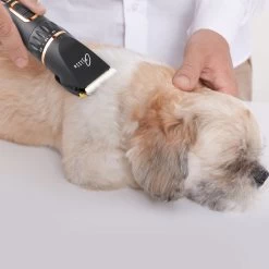 Tjilla Professionele Dieren/honden Tondeuse Set Extra Krachtig - Honden Trimmer - Lang Of Kortharige Huisdieren Katten & Honden - Draadloos - Weinig Geluid 11 Tjilla Professionele Dieren/honden Tondeuse Set Extra Krachtig - Honden Trimmer - Lang Of Kortharige Huisdieren Katten & Honden - Draadloos - Weinig Geluid -Hondenbenodigdheden 1200x1200 325