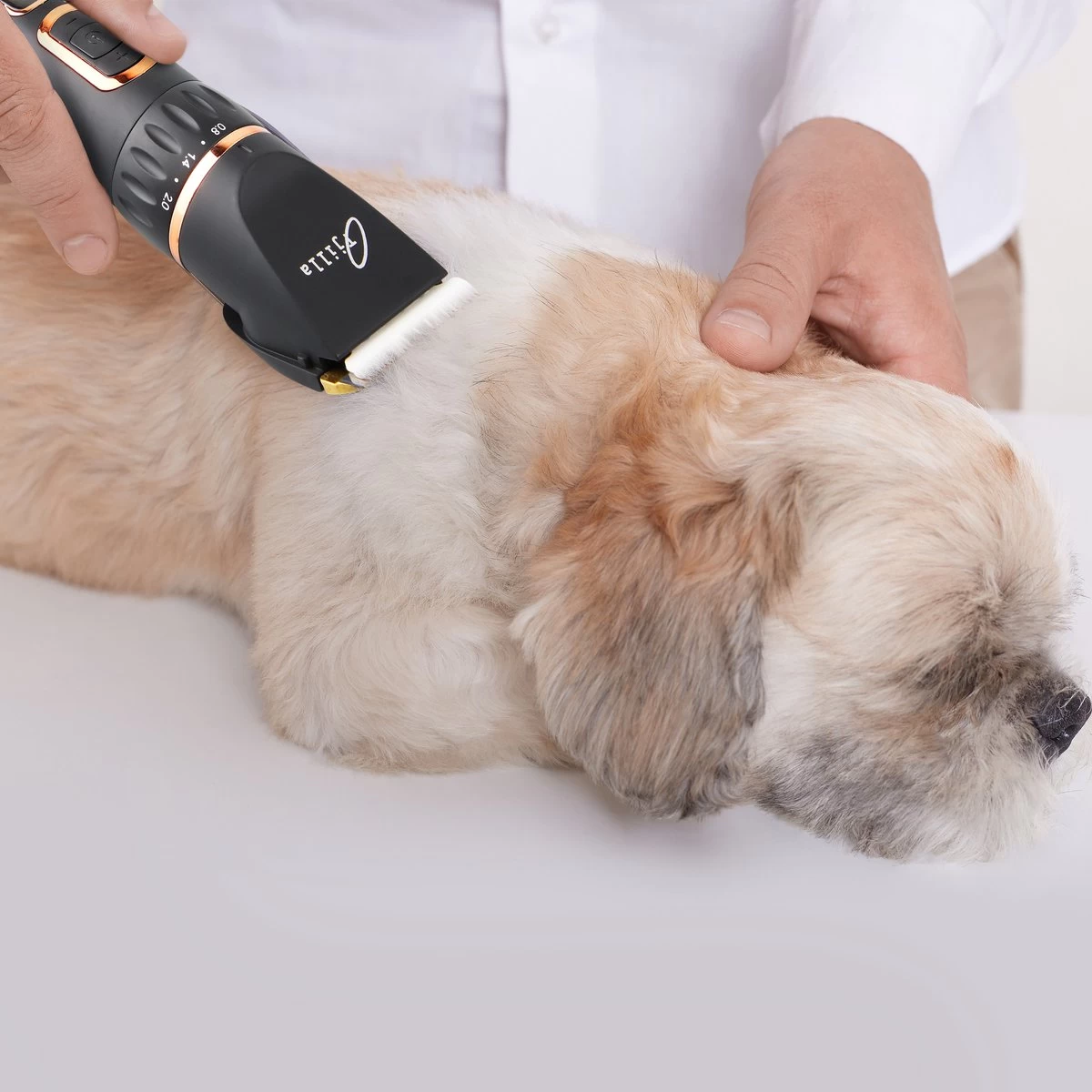 Tjilla Professionele Dieren/honden Tondeuse Set Extra Krachtig - Honden Trimmer - Lang Of Kortharige Huisdieren Katten & Honden - Draadloos - Weinig Geluid 5 Tjilla Professionele Dieren/honden Tondeuse Set Extra Krachtig - Honden Trimmer - Lang Of Kortharige Huisdieren Katten & Honden - Draadloos - Weinig Geluid - Afbeelding 3