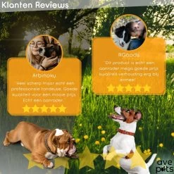 AVE Pets® Complete Hondentondeuse Set - Draadloos Tondeuse - Scheerapparaat Voor Je Hond Of Kat - Huisdier Trimmer - Professionele Dierentondeuse - Dieren Verzorging -Hondenbenodigdheden 1200x1200 344