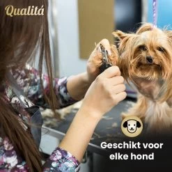Merkloos Professionele Honden Tondeuse Set - Tondeuse Voor Huisdier Honden En Katten - Hondentrimmer - Hondentondeuse -Hondenbenodigdheden 1200x1200 356