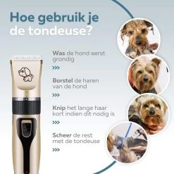 BYER Professionele Dieren Tondeuse Set - Voor Huisdieren Katten & Honden - Draadloos - Oplaadbare Pet Trimmer - Dog Tondeuze Clipper - 5 Standen & Vier Opzetkammen - Low Noise -Hondenbenodigdheden 1200x1200 360