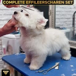 Toivo Schaar Voor Dieren - Zilver - Effileerscharen - Honden Scharenset - Dierenschaar - Set 5 Stuks - Trimscharen - Trimset - Uitdunschaar Hond - Schaar Honden 13 Toivo Schaar Voor Dieren - Zilver - Effileerscharen - Honden Scharenset - Dierenschaar - Set 5 Stuks - Trimscharen - Trimset - Uitdunschaar Hond - Schaar Honden -Hondenbenodigdheden 1200x1200 365
