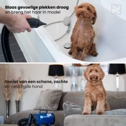 Nuvoo Professionele Hondenföhn / Waterblazer / Hondenborstel Met 3 Opzetstukken - Verstelbare Vermogen Tot 2200W - Warme / Koude Stand - Blauw -Hondenbenodigdheden 1200x1200 406