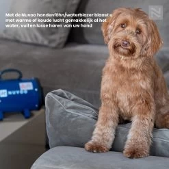 Nuvoo Professionele Hondenföhn / Waterblazer / Hondenborstel Met 3 Opzetstukken - Verstelbare Vermogen Tot 2200W - Warme / Koude Stand - Blauw -Hondenbenodigdheden 1200x1200 408