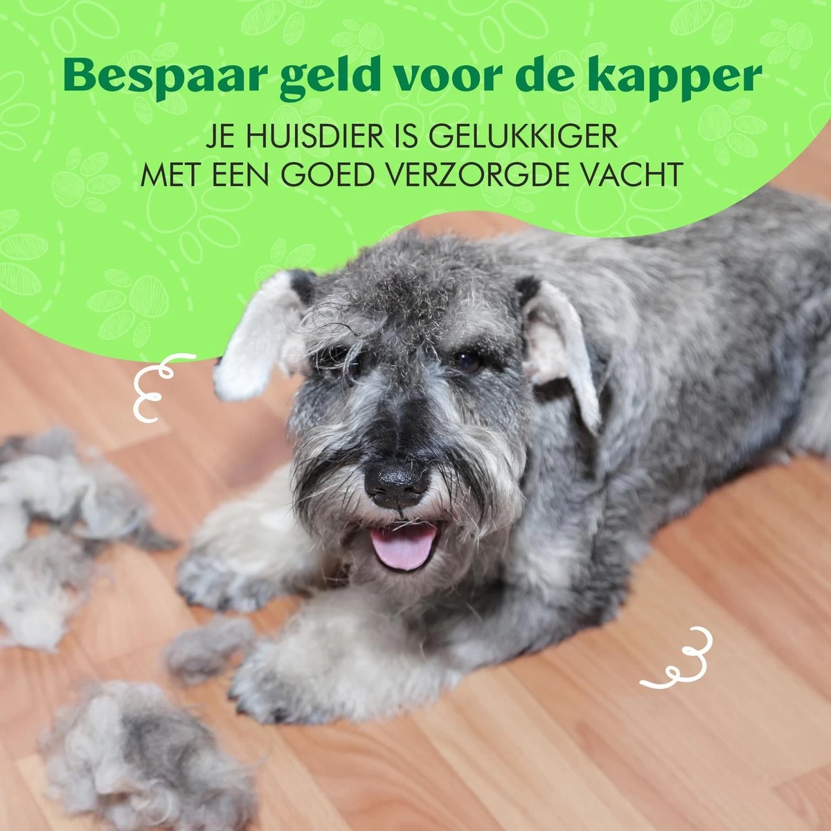 Mister Mill Professionele 2-Zijdige Ondervacht Kam Voor Hond En Kat – Honden/Kattenborstel – Klittenkam – 9,5 Cm. 12 Mister Mill Professionele 2-Zijdige Ondervacht Kam Voor Hond En Kat – Honden/Kattenborstel – Klittenkam – 9,5 Cm. - Afbeelding 10