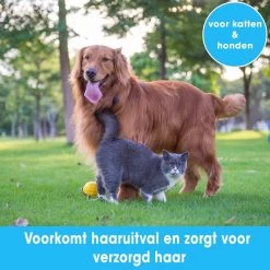 Professionele Ondervacht Kam Voor Hond En Kat S – Hondenborstel – Kattenborstel - Hondenkam –Anti Klit - Haarverwijderaar Voor Huisdieren - Pijnloos - Huisdiervriendelijk – Klittenkam - Voorkomt Haaruitval - Kleine Variant- Black Friday - Sinterklaas 9 Professionele Ondervacht Kam Voor Hond En Kat S – Hondenborstel – Kattenborstel - Hondenkam –Anti Klit - Haarverwijderaar Voor Huisdieren - Pijnloos - Huisdiervriendelijk – Klittenkam - Voorkomt Haaruitval - Kleine Variant- Black Friday - Sinterklaas -Hondenbenodigdheden 1200x1200 472