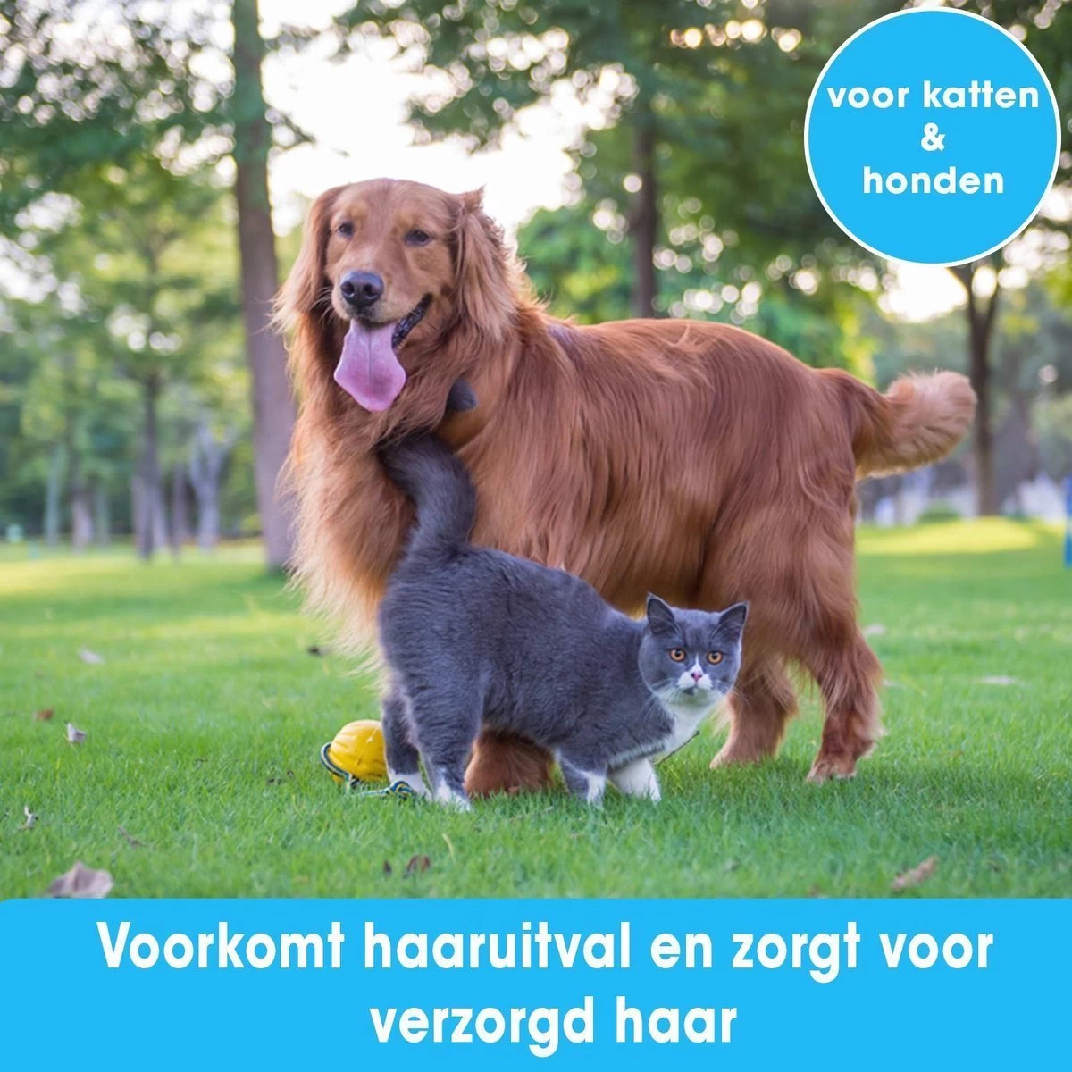 Professionele Ondervacht Kam Voor Hond En Kat S – Hondenborstel – Kattenborstel - Hondenkam –Anti Klit - Haarverwijderaar Voor Huisdieren - Pijnloos - Huisdiervriendelijk – Klittenkam - Voorkomt Haaruitval - Kleine Variant- Black Friday - Sinterklaas 5 Professionele Ondervacht Kam Voor Hond En Kat S – Hondenborstel – Kattenborstel - Hondenkam –Anti Klit - Haarverwijderaar Voor Huisdieren - Pijnloos - Huisdiervriendelijk – Klittenkam - Voorkomt Haaruitval - Kleine Variant- Black Friday - Sinterklaas - Afbeelding 3