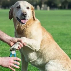WVspecials® Professionele Dieren Nagelschaar Met Led Licht - Dieren Nagelschaar - Nagelschaar Hond - Honden Nagelknipper - Hondennagels - Honden Knip Schaar - Nageltang - Met LED Licht, Veiligheidsstop En Nagelvijl - Black Friday - Sinterklaas -Hondenbenodigdheden 1200x1200 500