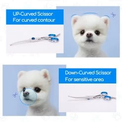 Nobleza Vachtscharen En Kam Set - Scharen Set - Vachtverzorging Set - Scharen Set Voor Honden En Katten 14 Nobleza Vachtscharen En Kam Set - Scharen Set - Vachtverzorging Set - Scharen Set Voor Honden En Katten -Hondenbenodigdheden 1200x1200 523