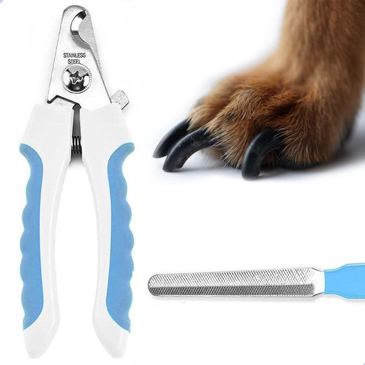 Professionele Nagelschaar|Nagelschaar Hond | Nagelschaar Kat| Nagelknipper Hond En Kat| Nagelknipper Kat| Nagelknipper Hond|NagelTang Dieren|Poot Verzorging 3 Professionele Nagelschaar|Nagelschaar Hond | Nagelschaar Kat| Nagelknipper Hond En Kat| Nagelknipper Kat| Nagelknipper Hond|NagelTang Dieren|Poot Verzorging