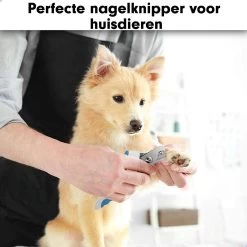 Professionele Nagelschaar|Nagelschaar Hond | Nagelschaar Kat| Nagelknipper Hond En Kat| Nagelknipper Kat| Nagelknipper Hond|NagelTang Dieren|Poot Verzorging 17 Professionele Nagelschaar|Nagelschaar Hond | Nagelschaar Kat| Nagelknipper Hond En Kat| Nagelknipper Kat| Nagelknipper Hond|NagelTang Dieren|Poot Verzorging -Hondenbenodigdheden 1200x1200 528