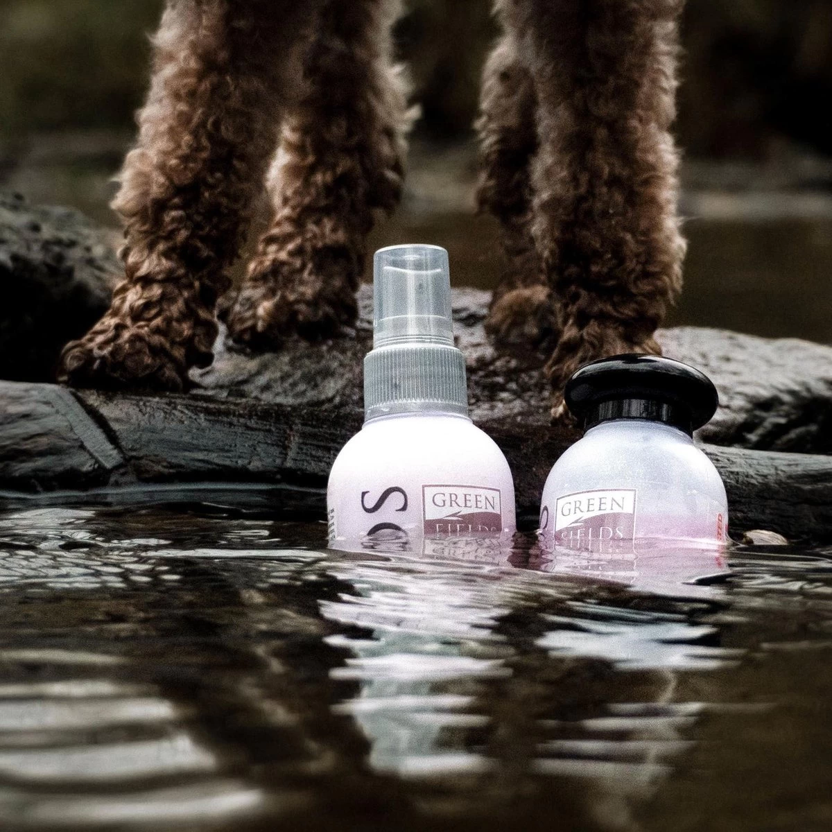 Greenfields - Hondenshampoo Voor Krullende Vacht - Extra Volume En Goede Doorkambaarheid - 270 Ml - Hondenshampoo Krullende Vacht 7 Greenfields - Hondenshampoo Voor Krullende Vacht - Extra Volume En Goede Doorkambaarheid - 270 Ml - Hondenshampoo Krullende Vacht - Afbeelding 5