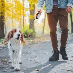 Hondenriem Tape - 5 Meter - Medium - Voor Honden <25 Kg - Zwart-Wit 16 Hondenriem Tape - 5 Meter - Medium - Voor Honden <25 Kg - Zwart-Wit -Hondenbenodigdheden 1200x1200 598