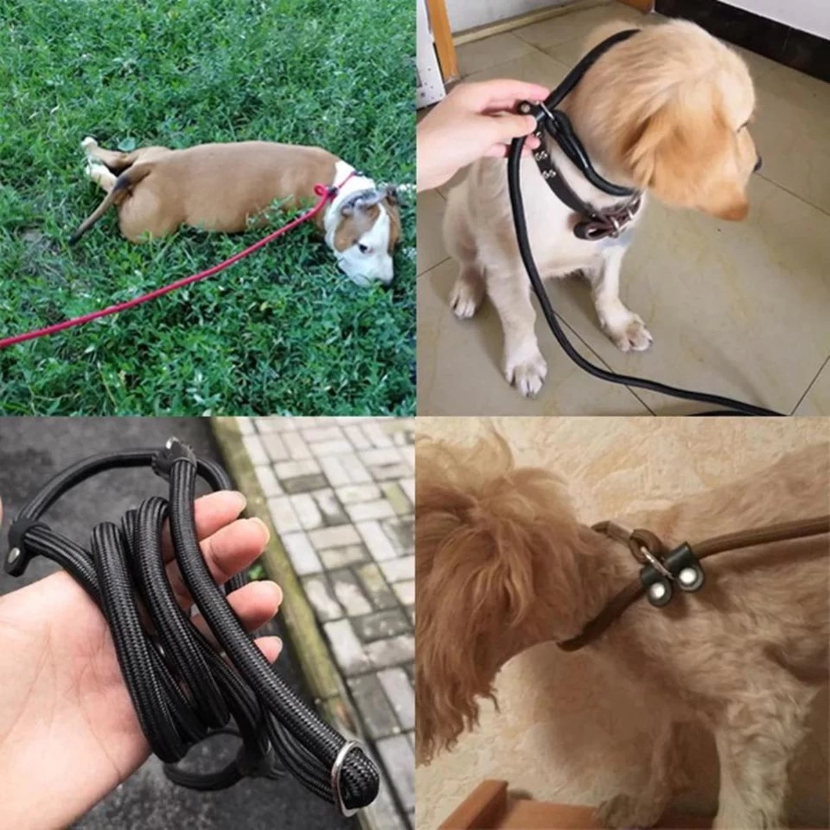 LOUZIR Cesar Millan Sliplijn Met Stop - Hondenriem - Rood - 130 Cm 4 LOUZIR Cesar Millan Sliplijn Met Stop - Hondenriem - Rood - 130 Cm - Afbeelding 2