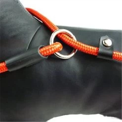 LOUZIR Cesar Millan Sliplijn Met Stop - Hondenriem - Rood - 130 Cm 27 LOUZIR Cesar Millan Sliplijn Met Stop - Hondenriem - Rood - 130 Cm -Hondenbenodigdheden 1200x1200 609