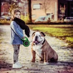 IGOODS - Hondenriem - Katten Riem - Uitlaatriem Voor Honden En Katten - Honden Riem- Rollijn - 5 Meter Lang 17 IGOODS - Hondenriem - Katten Riem - Uitlaatriem Voor Honden En Katten - Honden Riem- Rollijn - 5 Meter Lang -Hondenbenodigdheden 1200x1200 614