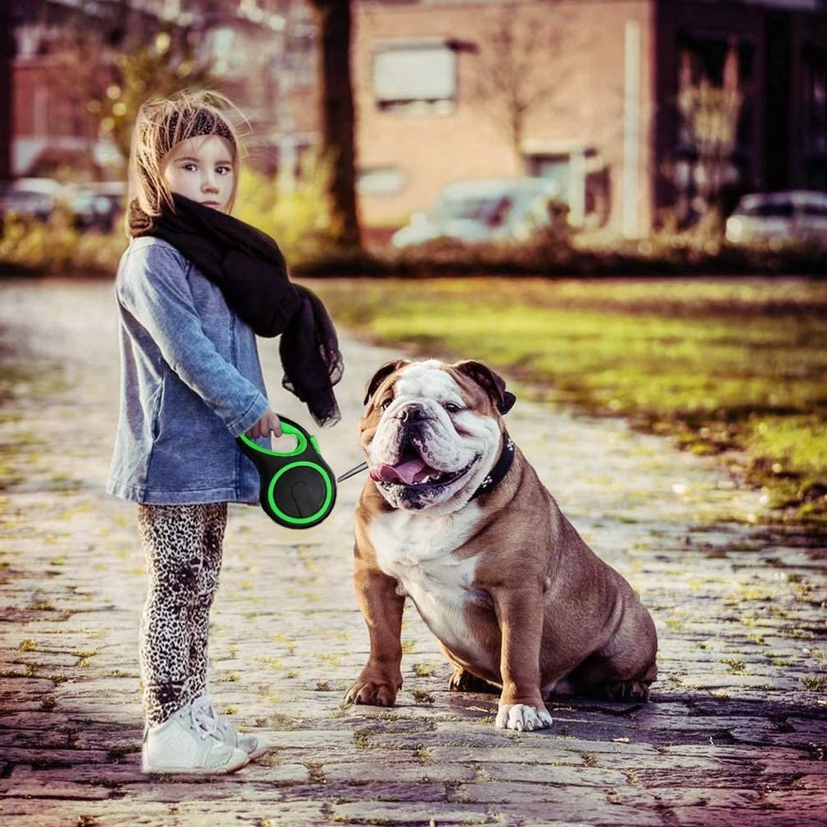 IGOODS - Hondenriem - Katten Riem - Uitlaatriem Voor Honden En Katten - Honden Riem- Rollijn - 5 Meter Lang 8 IGOODS - Hondenriem - Katten Riem - Uitlaatriem Voor Honden En Katten - Honden Riem- Rollijn - 5 Meter Lang - Afbeelding 6