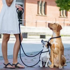 Rebel Petz - Dubbele Verstelbare Hondenriem Voor Twee Honden - Met Draaibare Sluiting En Zacht Handvat - Small En Large - Large (140 Cm Lang, Ø 12 Mm) -Hondenbenodigdheden 1200x1200 622