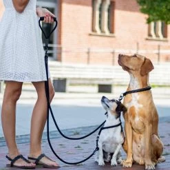 Rebel Petz - Dubbele Verstelbare Hondenriem Voor Twee Honden - Met Draaibare Sluiting En Zacht Handvat - Small En Large - Large (140 Cm Lang, Ø 12 Mm) -Hondenbenodigdheden 1200x1200 624