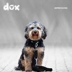DDOXX Hondenriem Air Mesh, 3-voudig Verstelbaar, 2m | Voor Kleine & Grote Honden | Dubbele Riem Twee Honden Kat Puppy | Tug Leash Large | Lead Leash Small | Walking Leash Puppy Leash | Zwart, XS 13 DDOXX Hondenriem Air Mesh, 3-voudig Verstelbaar, 2m | Voor Kleine & Grote Honden | Dubbele Riem Twee Honden Kat Puppy | Tug Leash Large | Lead Leash Small | Walking Leash Puppy Leash | Zwart, XS -Hondenbenodigdheden 1200x1200 638
