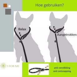 1FORME Hondenriem 15-30kg - Sliplijn Hond REFLECTEREND 2m, Ø 1.2cm - Jachtlijn 2 Ergonomische Handvaten - Dubbel Stop 24 1FORME Hondenriem 15-30kg - Sliplijn Hond REFLECTEREND 2m, Ø 1.2cm - Jachtlijn 2 Ergonomische Handvaten - Dubbel Stop -Hondenbenodigdheden 1200x1200 678