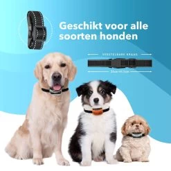 PET DOG® | Anti Blafband Voor Honden | 3 T/m 60 Kg | Oplaadbaar | Anti Blaf Band | Trainingsband | Vibratie En Geluid | Diervriendelijk | Shock Aan/uit Instelbaar 12 PET DOG® | Anti Blafband Voor Honden | 3 T/m 60 Kg | Oplaadbaar | Anti Blaf Band | Trainingsband | Vibratie En Geluid | Diervriendelijk | Shock Aan/uit Instelbaar -Hondenbenodigdheden 1200x1200 695