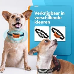 PET DOG® | Anti Blafband Voor Honden | 3 T/m 60 Kg | Oplaadbaar | Anti Blaf Band | Trainingsband | Vibratie En Geluid | Diervriendelijk | Shock Aan/uit Instelbaar 14 PET DOG® | Anti Blafband Voor Honden | 3 T/m 60 Kg | Oplaadbaar | Anti Blaf Band | Trainingsband | Vibratie En Geluid | Diervriendelijk | Shock Aan/uit Instelbaar -Hondenbenodigdheden 1200x1200 697