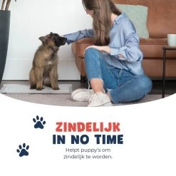 JC Pets Premium Puppy Training Pads - Hondentoilet - Zindelijkheidstraining Hond - 50 Stuks - 60 X 45 Cm 16 JC Pets Premium Puppy Training Pads - Hondentoilet - Zindelijkheidstraining Hond - 50 Stuks - 60 X 45 Cm -Hondenbenodigdheden 1200x1200 719