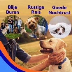 MyPets™ Anti-blafband - Anti Blaf Apparaat - Voor Kleine Honden En Grote Honden - Diervriendelijk - Opvoedingshalsband - Trainingshalsband - 2022/2023 Versie - Inclusief Batterijen 16 MyPets™ Anti-blafband - Anti Blaf Apparaat - Voor Kleine Honden En Grote Honden - Diervriendelijk - Opvoedingshalsband - Trainingshalsband - 2022/2023 Versie - Inclusief Batterijen -Hondenbenodigdheden 1200x1200 747