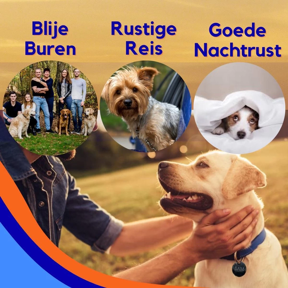 MyPets™ Anti-blafband - Anti Blaf Apparaat - Voor Kleine Honden En Grote Honden - Diervriendelijk - Opvoedingshalsband - Trainingshalsband - 2022/2023 Versie - Inclusief Batterijen 9 MyPets™ Anti-blafband - Anti Blaf Apparaat - Voor Kleine Honden En Grote Honden - Diervriendelijk - Opvoedingshalsband - Trainingshalsband - 2022/2023 Versie - Inclusief Batterijen - Afbeelding 7