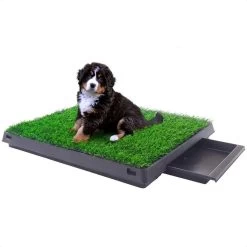 Merkloos Hondentoilet Kunstgras Met Bak - Indoor Dierentoilet - Uitneembare Opvangbak - Puppy Training Pets - Outdoor/Balkon/Tuin/Indoor Toilet - 50x64 Cm 19 Merkloos Hondentoilet Kunstgras Met Bak - Indoor Dierentoilet - Uitneembare Opvangbak - Puppy Training Pets - Outdoor/Balkon/Tuin/Indoor Toilet - 50x64 Cm -Hondenbenodigdheden 1200x1200 771