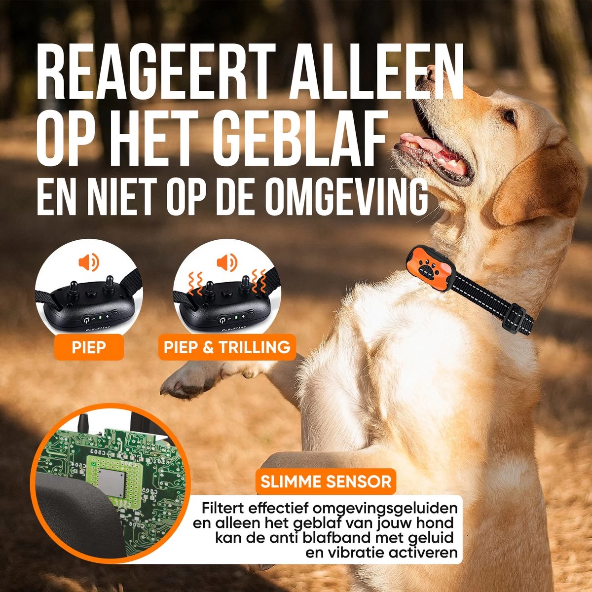 Strex Anti Blafband Voor Honden - 3-60KG - Oplaadbaar - Zonder Schok - Vibratie En Audio - Diervriendelijk - Anti Blaf Band - Anti Blaf Apparaat - Opvoedingshalsband Alle Honden 5 Strex Anti Blafband Voor Honden - 3-60KG - Oplaadbaar - Zonder Schok - Vibratie En Audio - Diervriendelijk - Anti Blaf Band - Anti Blaf Apparaat - Opvoedingshalsband Alle Honden - Afbeelding 3